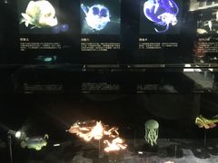 -同济大学四平路校区深海探索馆