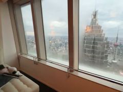 -上海柏悦酒店