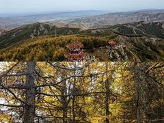 -苏木山森林公园