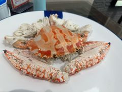 -吴记富苑(朝阳店)