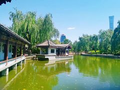 -团结湖公园