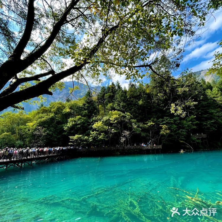 四川九寨沟详细旅游攻略｜秋冬出游·看这里✔️