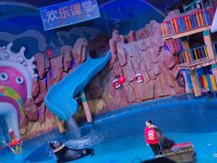 -烟台海昌鲸鲨海洋公园