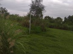 -桤木河湿地公园