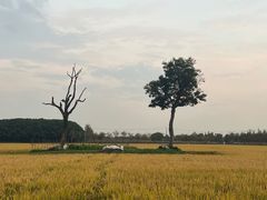 -嘉北郊野公园