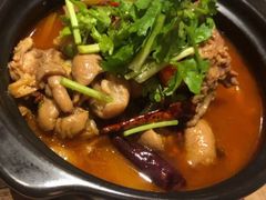 -铁公鸡·四川料理(天环广场店)