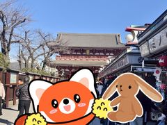 -浅草寺