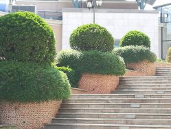 -Early Rider 儿童自行车(蓝色港湾店)