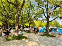 -新江湾城公园