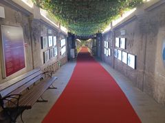 -青岛葡萄酒博物馆