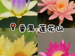-广州莲花山旅游区