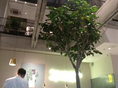 -大树餐厅(红旗街万达店)