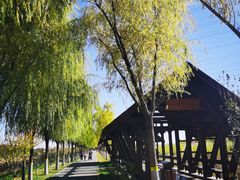 -永定河休闲森林公园