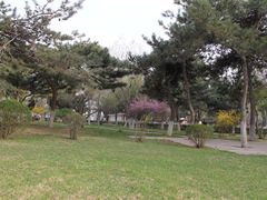 -辽宁大学(崇山校区)