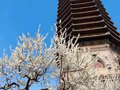 -玲珑塔公园