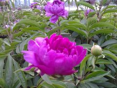 -山西通天峡景区