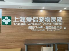 -爱侣宠医·鹦鹉专科·小型哺乳类·异宠专科(灵石路店)