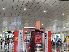 -石家庄正定国际机场-T2航站楼