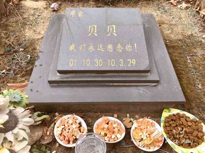天使城宠物墓园-"焚烧小狗 四百元 地方比较好找 就在京开.