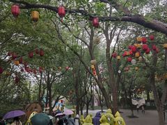 -天目湖山水园