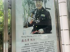 -中国人民解放军总医院