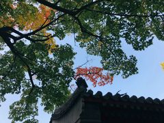 -北京鹫峰国家森林公园