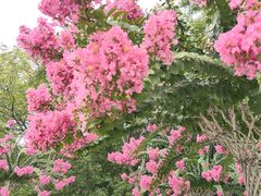 -杭州城北体育公园