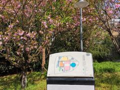 -长沙市青少年宫