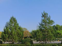 -洛阳市隋唐城遗址植物园
