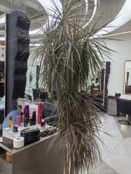-ON STAR SALON