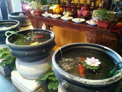 -乔先生涮肉·鲜活牛羊肉火锅(塘沽店)