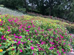 -黑龙江省森林植物园