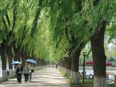 -北陵公园