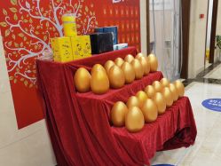 -碧莲盛·不剃发植发