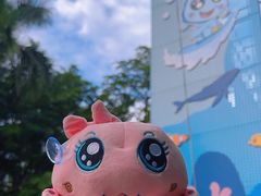 -厦门北海湾惠龙万达嘉华酒店