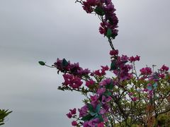 -东莞观音山旅游风景区