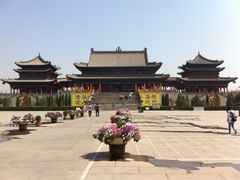 大槐树-大槐树寻根祭祖园