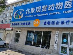 -北京观赏动物医院·24小时大型综合·猫专科·异宠专科