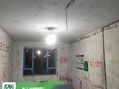 -大树装饰·十年本土家装