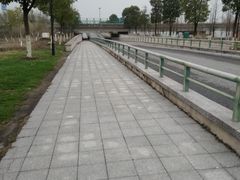 -南湖湿地公园
