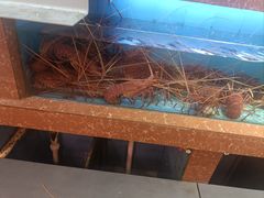 -德兴海鲜渔港(辉煌大厦店)