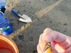 -红树林天天赶海