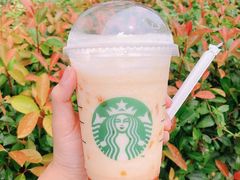 -星巴克(真如星光耀广场店)