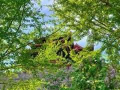 -东华门大街小区