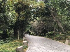 -峙山公园
