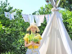-柑橘农场