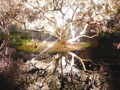 -Joy酒隐(西湖店)