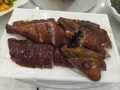 -姚林轩