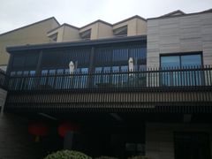 -上海崇明金茂凯悦酒店