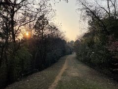 -苏州上方山国家森林公园